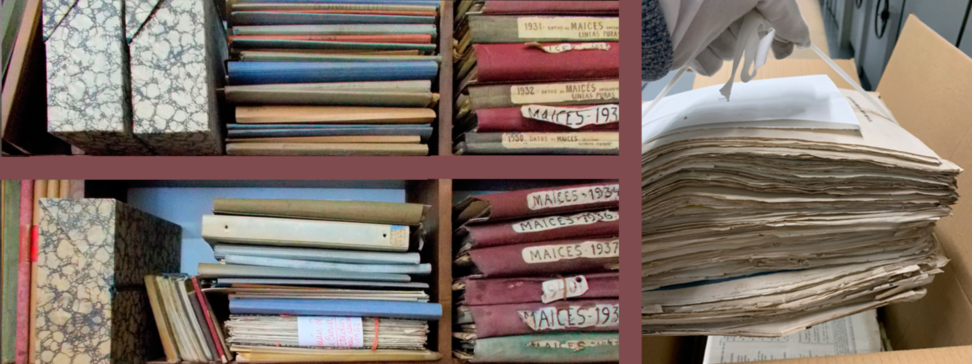 Patrimonio por descubrir en los archivos y bibliotecas del CSIC